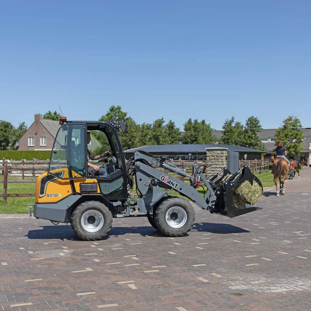 g2700epelikaanbakgesnedentanden[2]rb